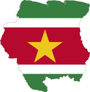 Surinaamse Catering Feest: Proef de Passie van Suriname